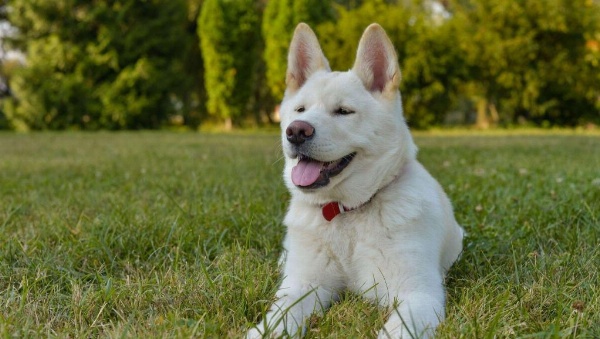 West Hartford Inn image 17